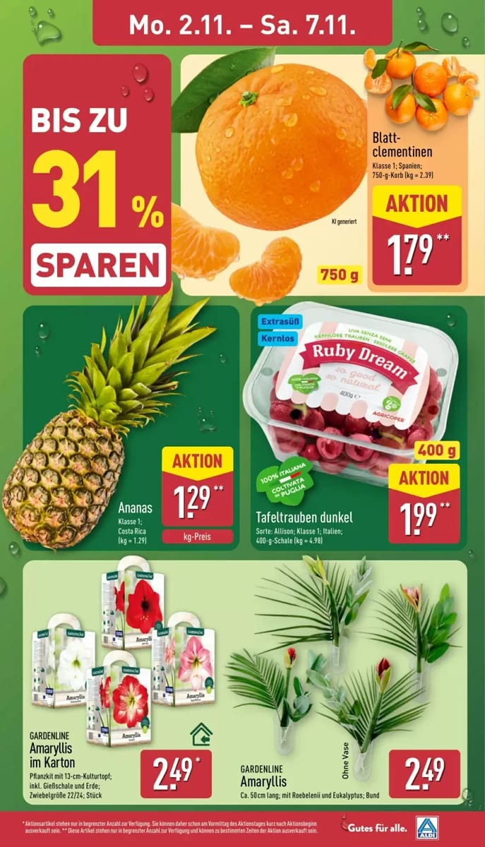 Prospekt Aldi Nord, Seite 3 von 41
