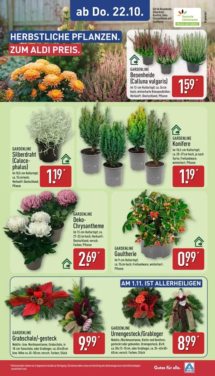 Prospekt Aldi Nord, Seite 29 von 46