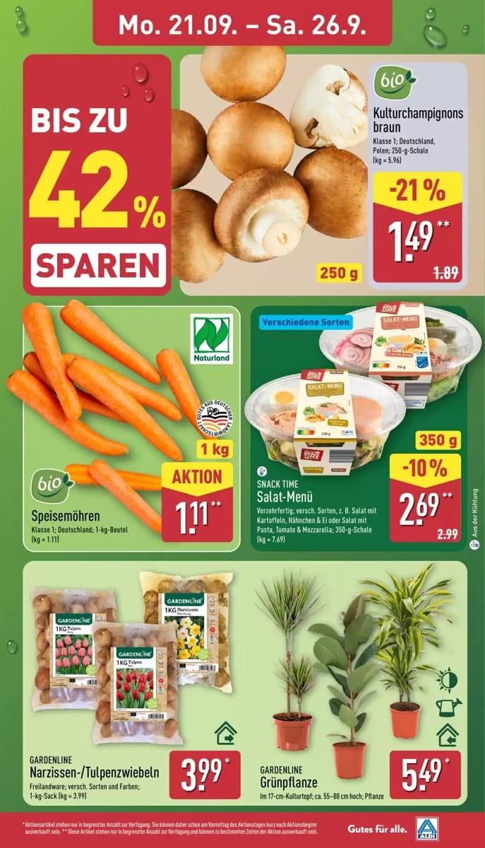 Prospekt Aldi Nord, Seite 3 von 41