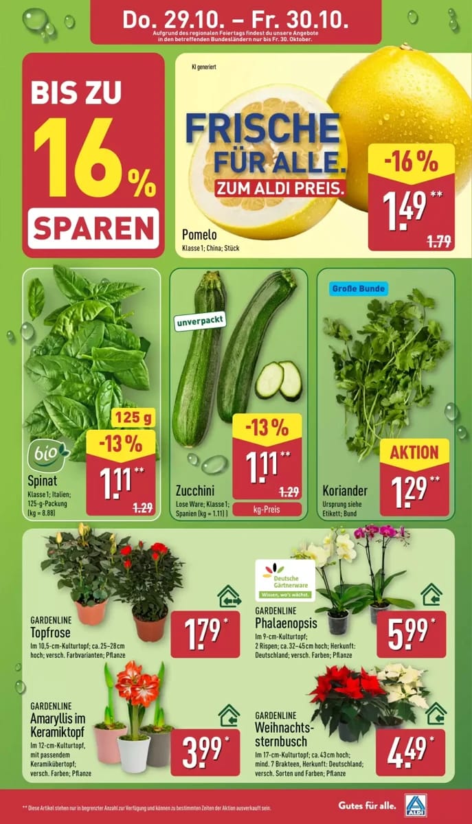 Prospekt Aldi Nord, Seite 32 von 46