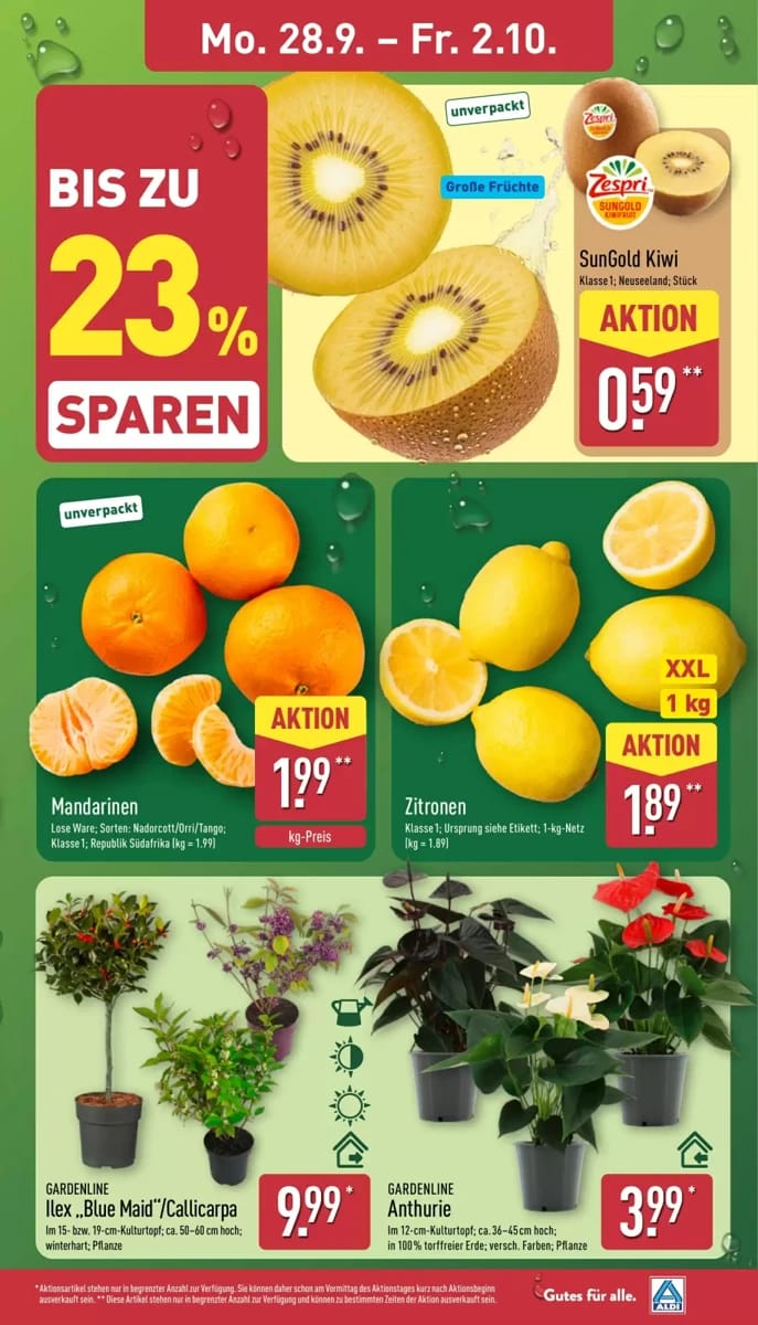 Prospekt Aldi Nord, Seite 3 von 42