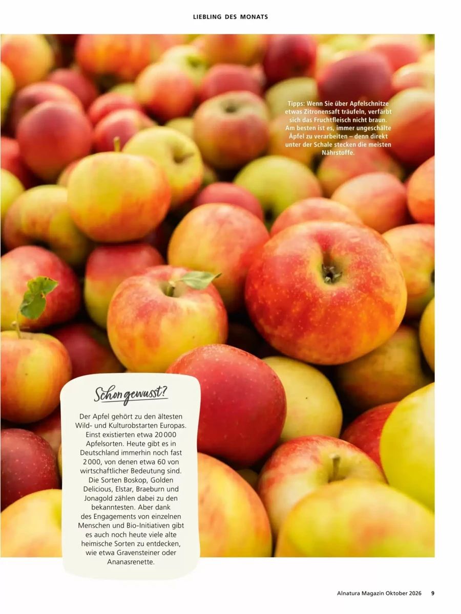 Prospekt Alnatura, Seite 9 von 64