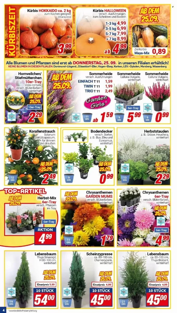 Prospekt Centershop, Seite 4 von 12