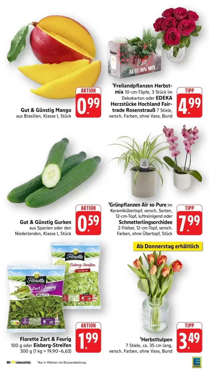 Prospekt E center, Seite 14 von 62