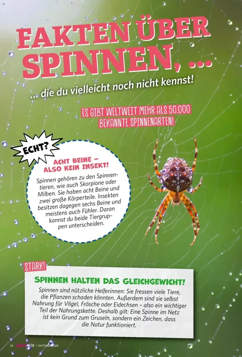 Prospekt Famila Nordwest, Seite 93 von 96