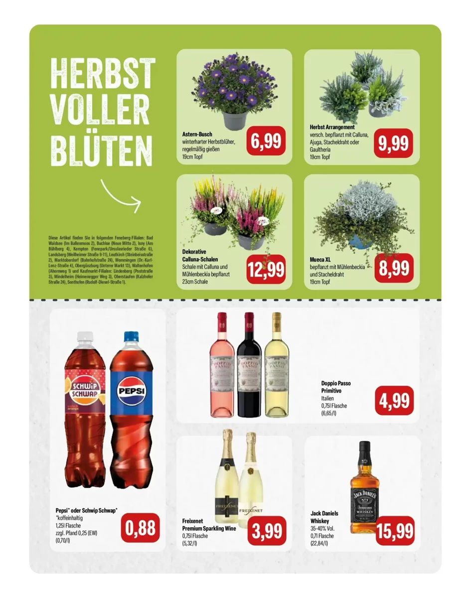 Prospekt Feneberg, Seite 6 von 8