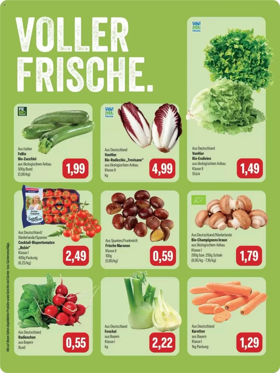 Prospekt Feneberg, Seite 8 von 12