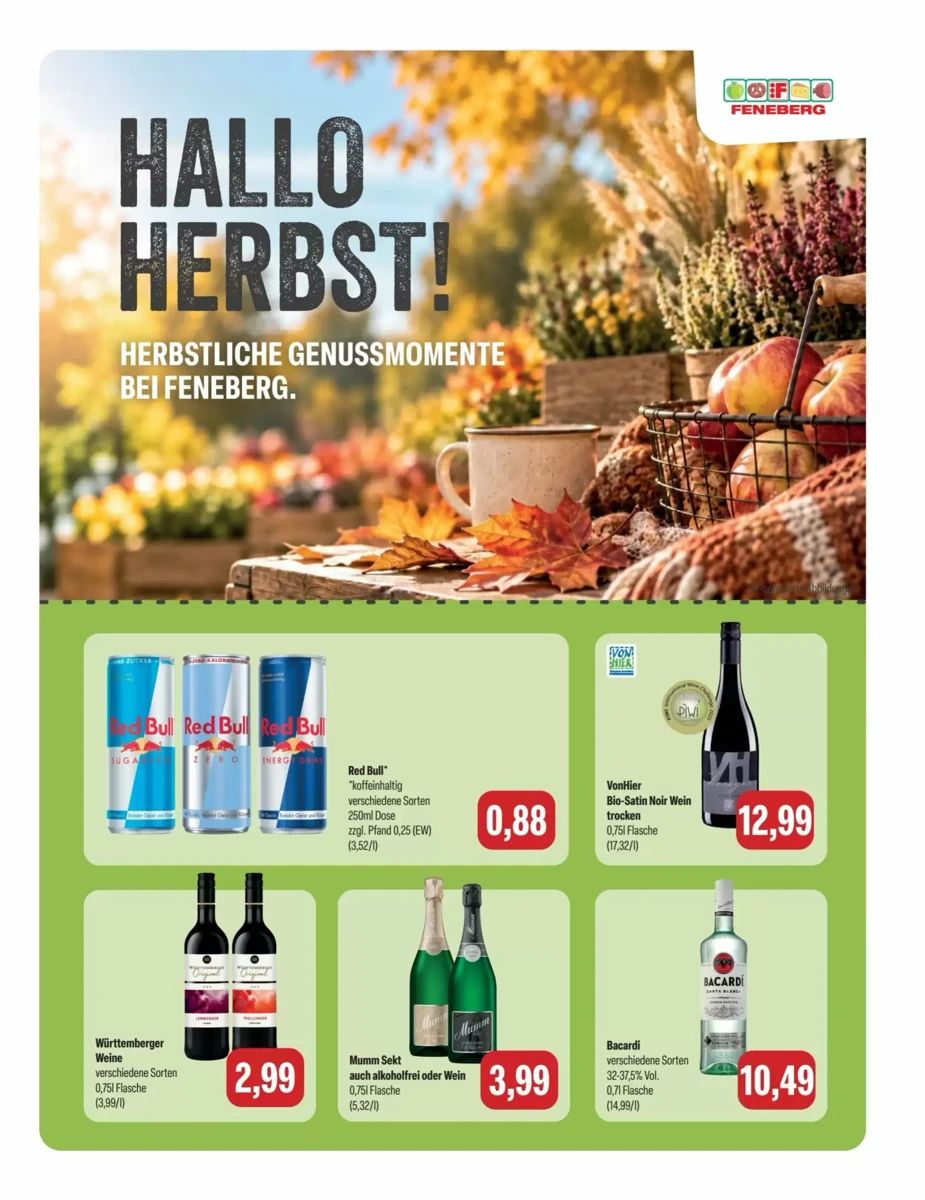 Prospekt Feneberg, Seite 7 von 8