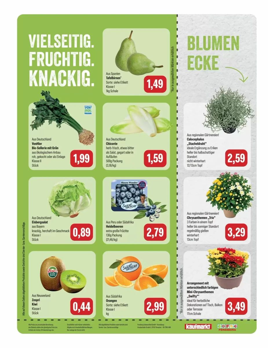 Prospekt Feneberg, Seite 8 von 8
