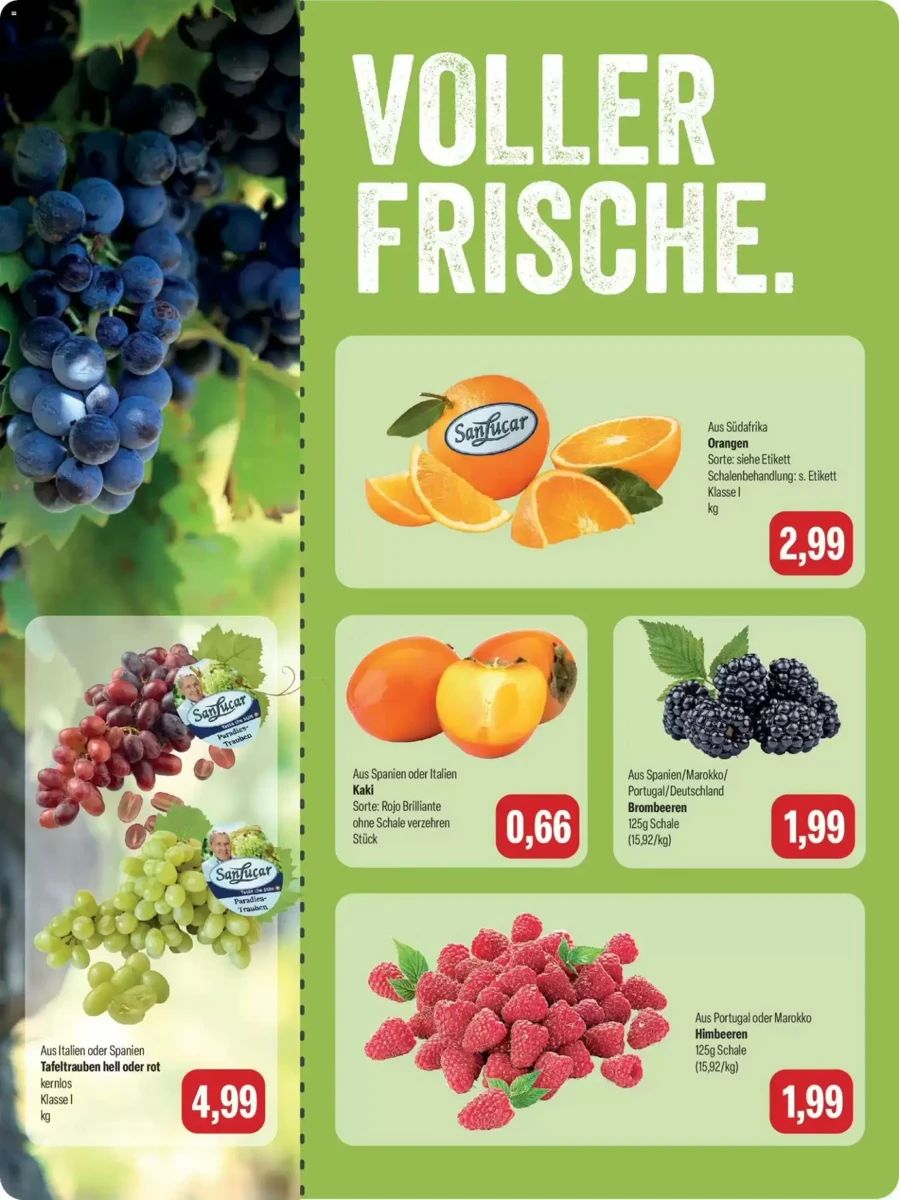 Prospekt Feneberg, Seite 10 von 16