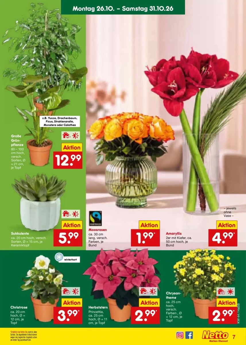Prospekt Fressnapf, Seite 28 von 34
