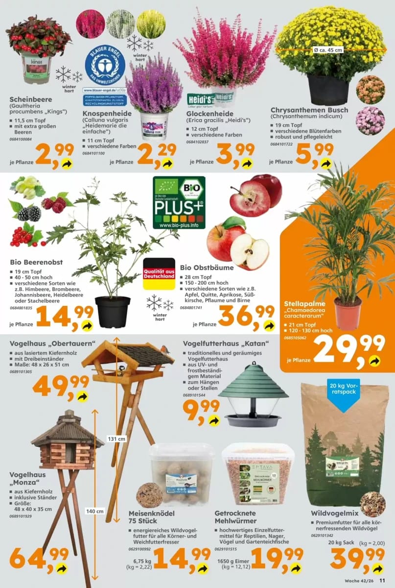 Prospekt Globus Baumarkt, Seite 11 von 16