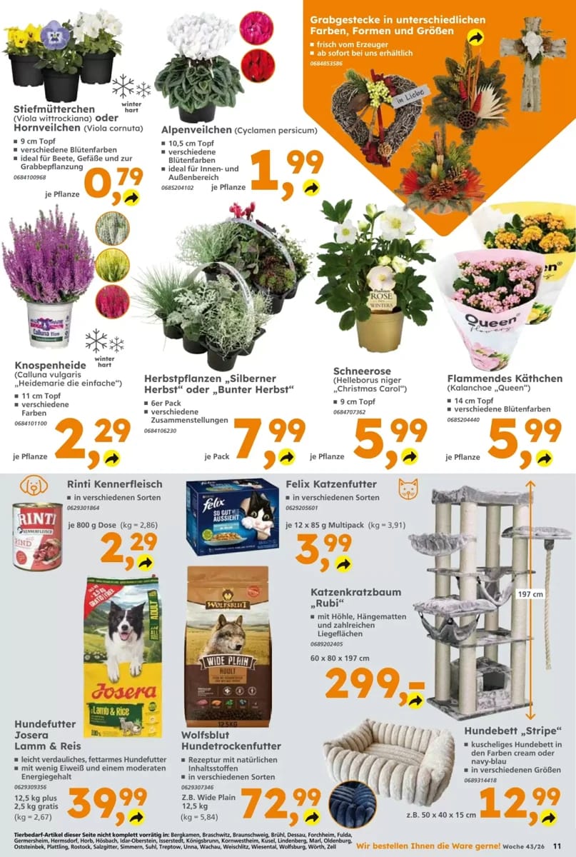 Prospekt Globus Baumarkt, Seite 11 von 12