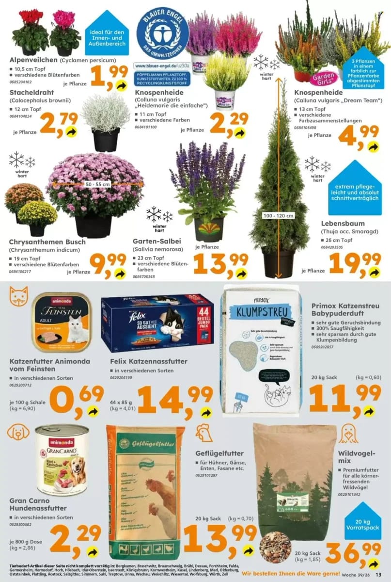 Prospekt Globus Baumarkt, Seite 13 von 14