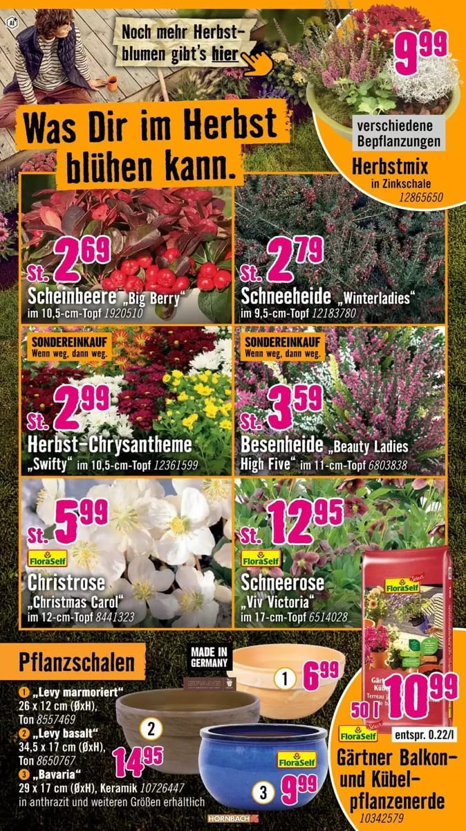 Prospekt Hornbach, Seite 18 von 31