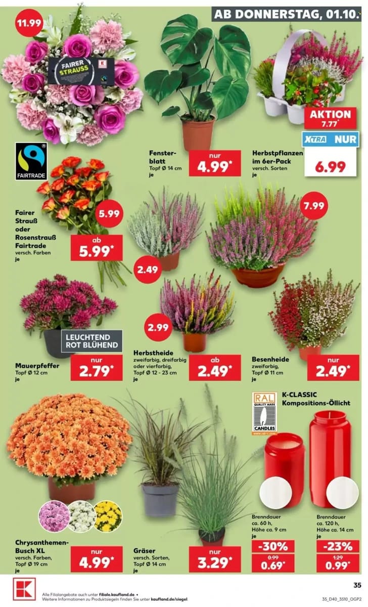 Prospekt Kaufland, Seite 35 von 66