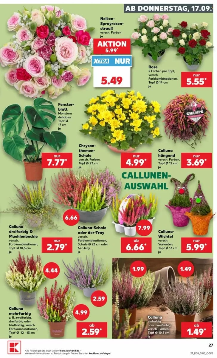 Prospekt Kaufland, Seite 27 von 66