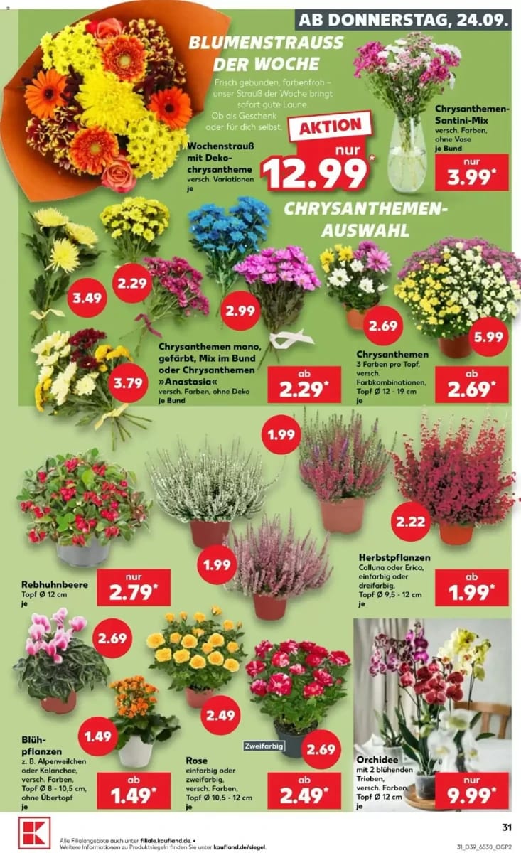 Prospekt Kaufland, Seite 31 von 72