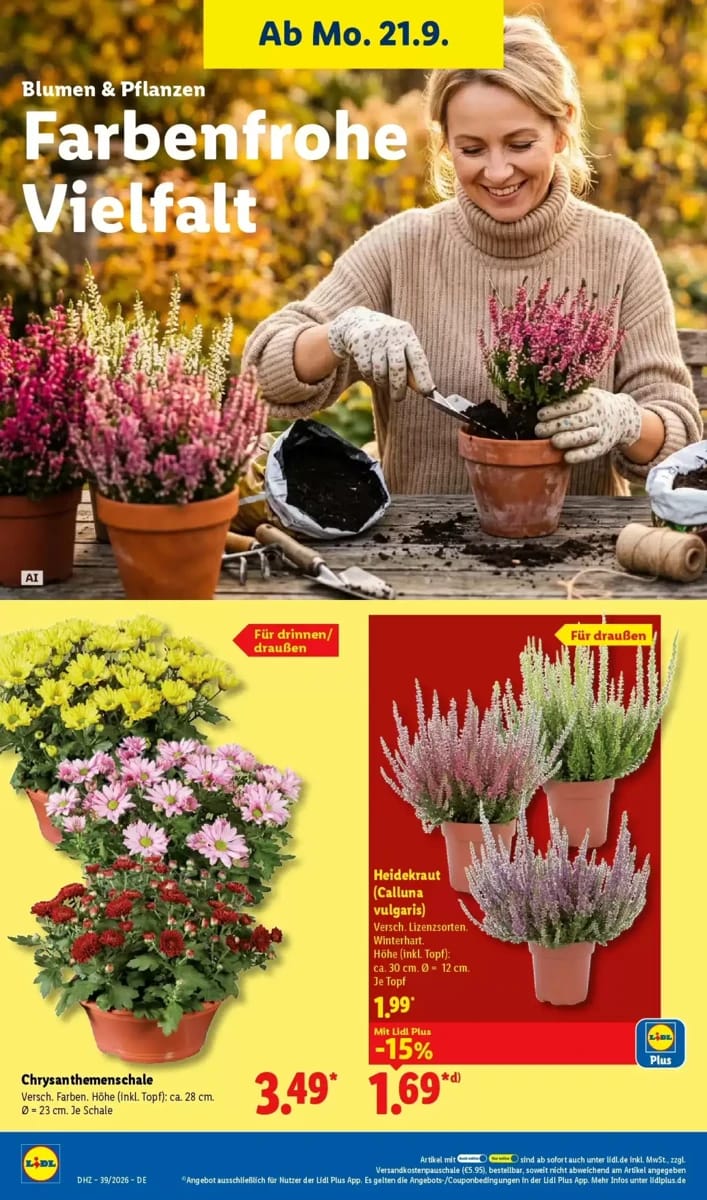 Prospekt Lidl, Seite 20 von 65