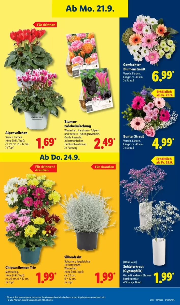 Prospekt Lidl, Seite 21 von 65