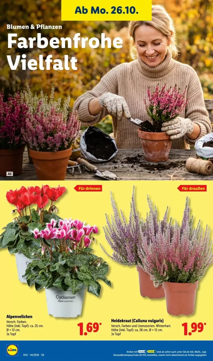 Prospekt Lidl, Seite 36 von 76