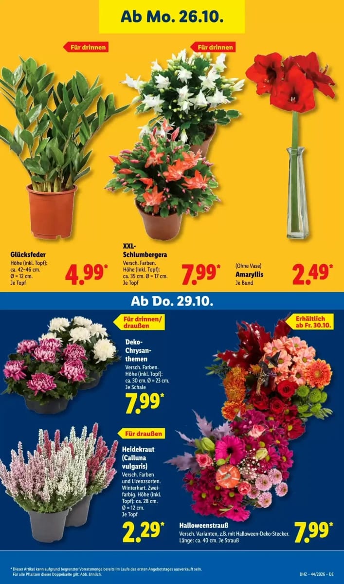 Prospekt Lidl, Seite 37 von 76