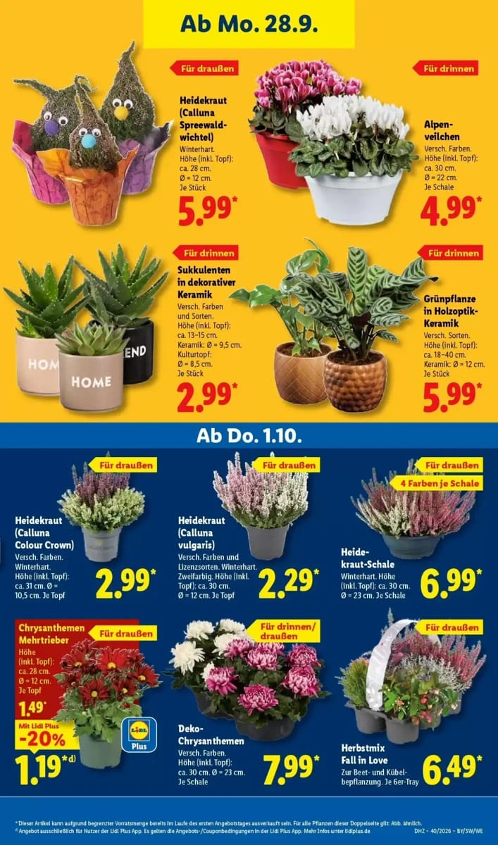 Prospekt Lidl, Seite 27 von 73