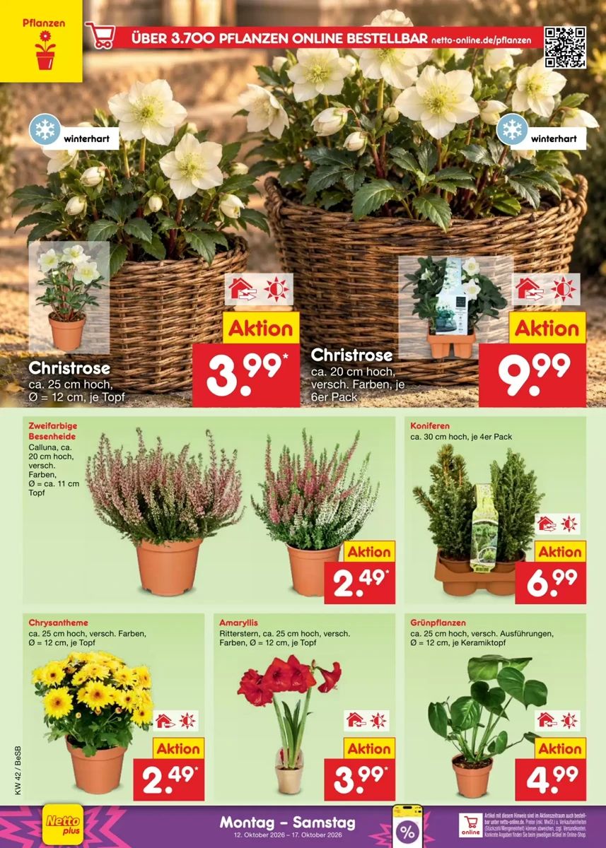 Prospekt Netto City, Seite 10 von 71