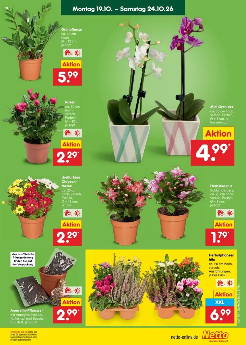 Prospekt Netto City, Seite 11 von 72