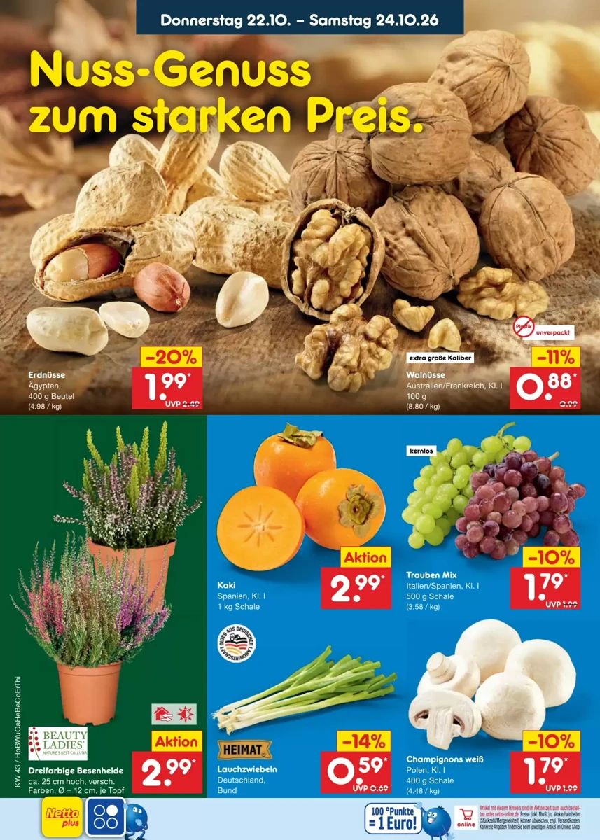 Prospekt Netto City, Seite 46 von 72