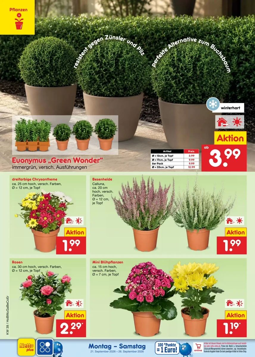 Prospekt Netto City, Seite 4 von 73