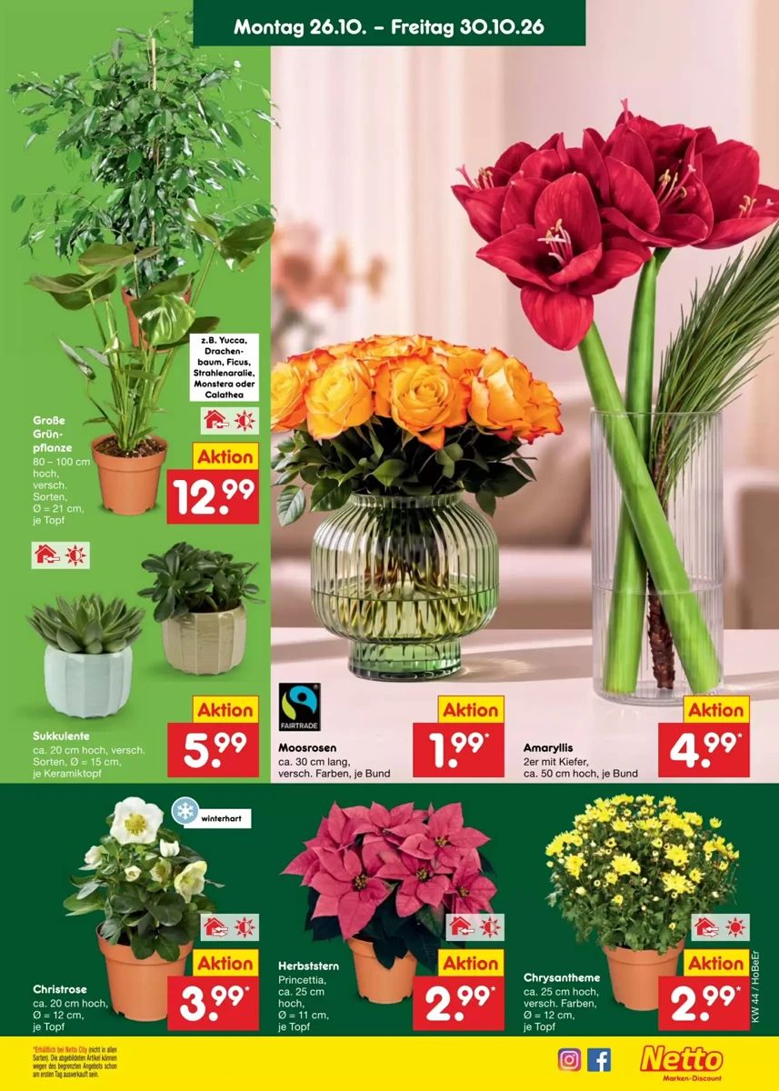 Prospekt Netto City, Seite 11 von 71
