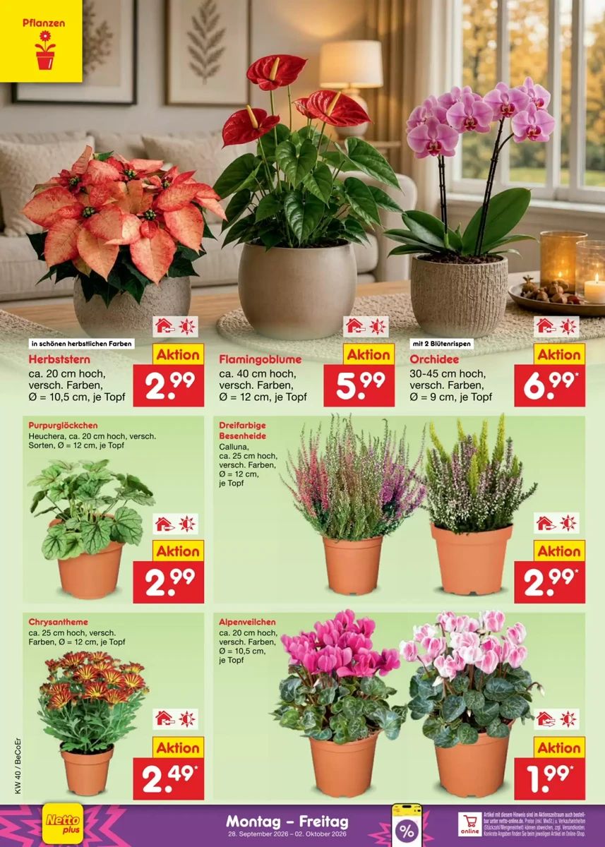 Prospekt Netto City, Seite 6 von 72