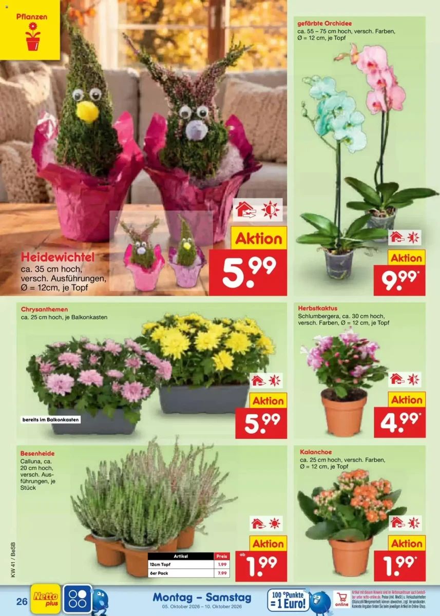 Prospekt Netto Marken-Discount, Seite 30 von 68