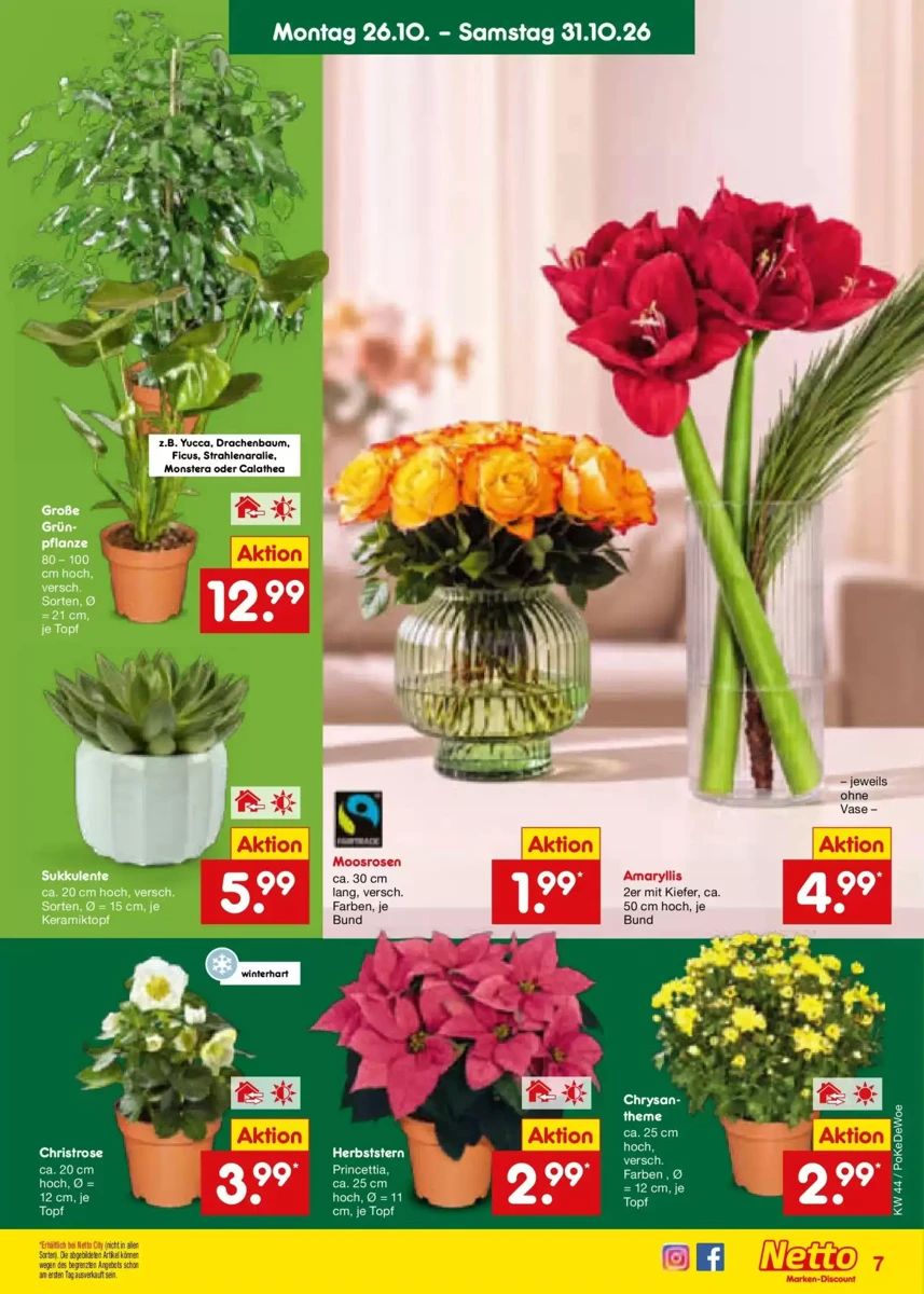 Prospekt Netto Marken-Discount, Seite 9 von 71