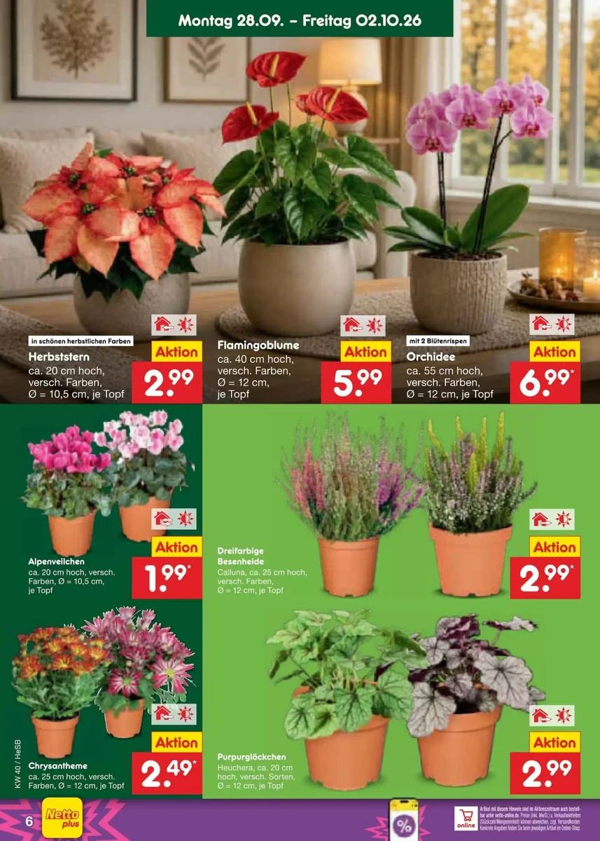 Prospekt Netto Marken-Discount, Seite 6 von 72