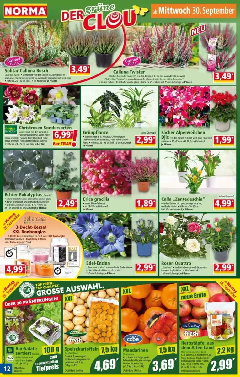 Prospekt Norma, Seite 12 von 30