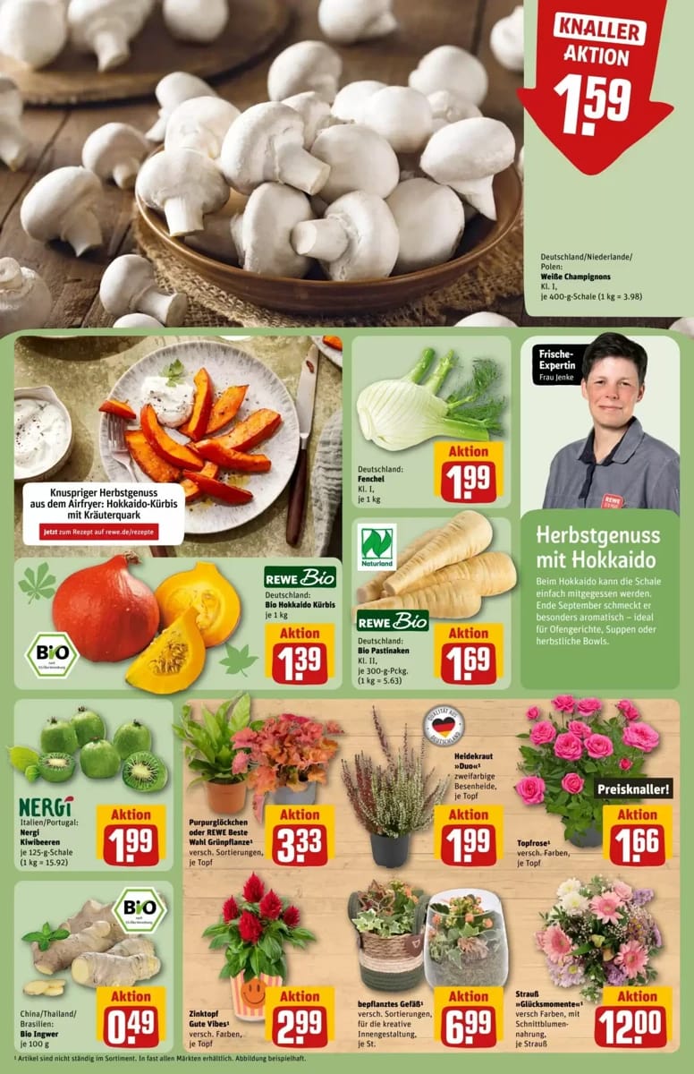 Prospekt Rewe Center, Seite 13 von 38