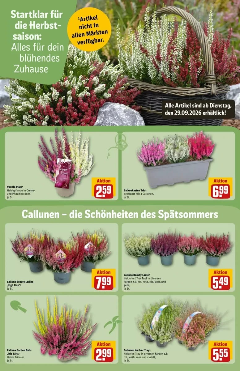 Prospekt Rewe Center, Seite 14 von 38