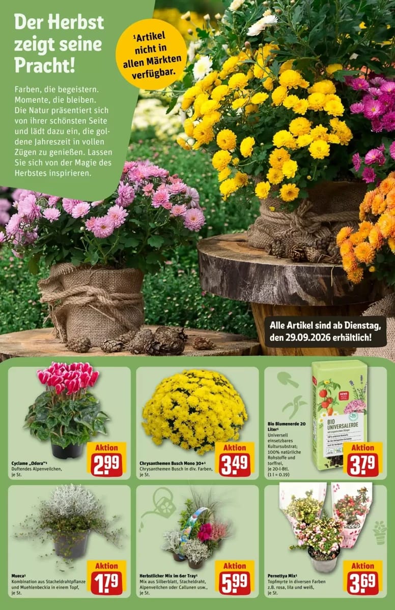 Prospekt Rewe Center, Seite 15 von 38