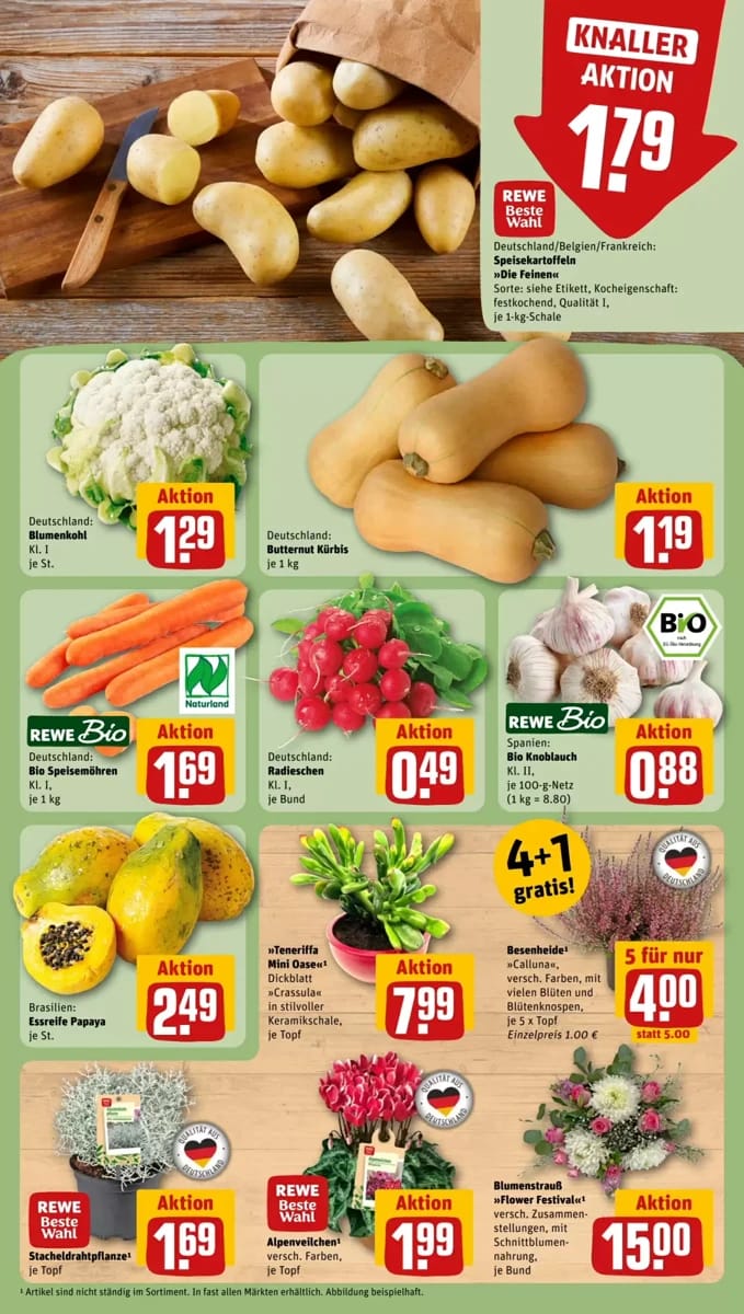 Prospekt Rewe City, Seite 9 von 20