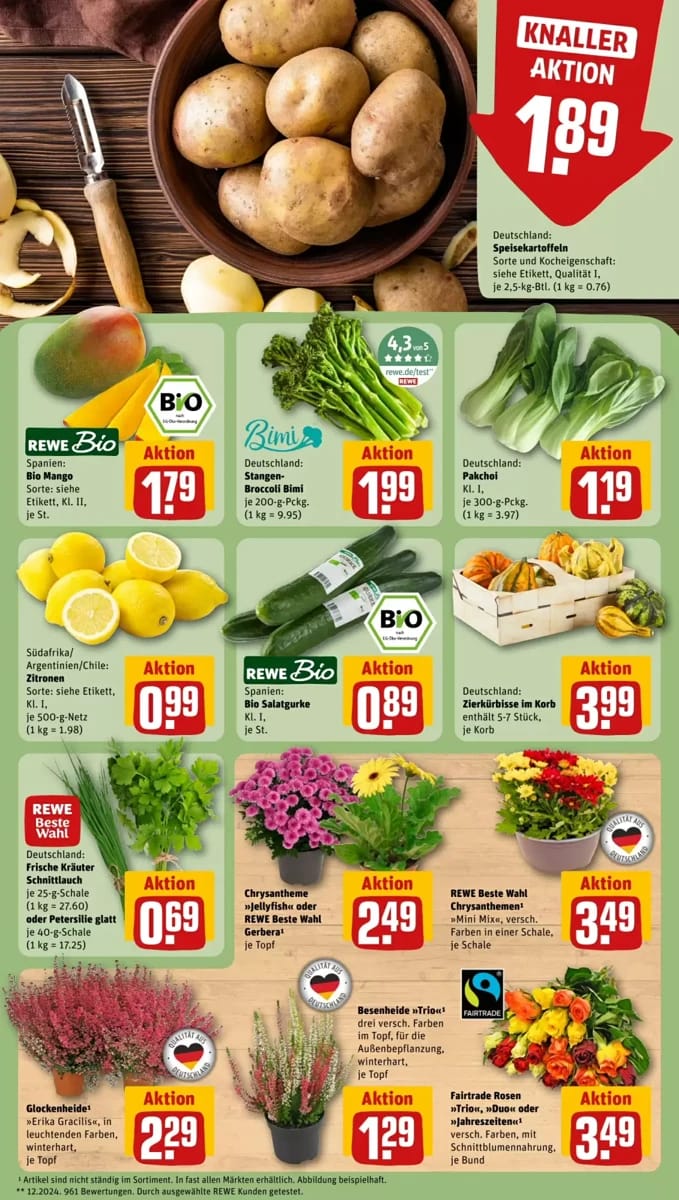 Prospekt Rewe City, Seite 13 von 24