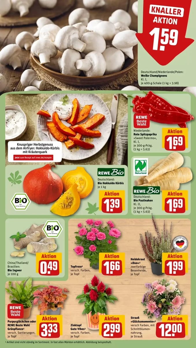 Prospekt Rewe City, Seite 11 von 20