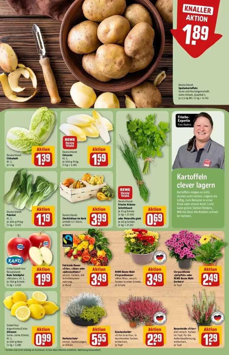 Prospekt Rewe, Seite 13 von 36