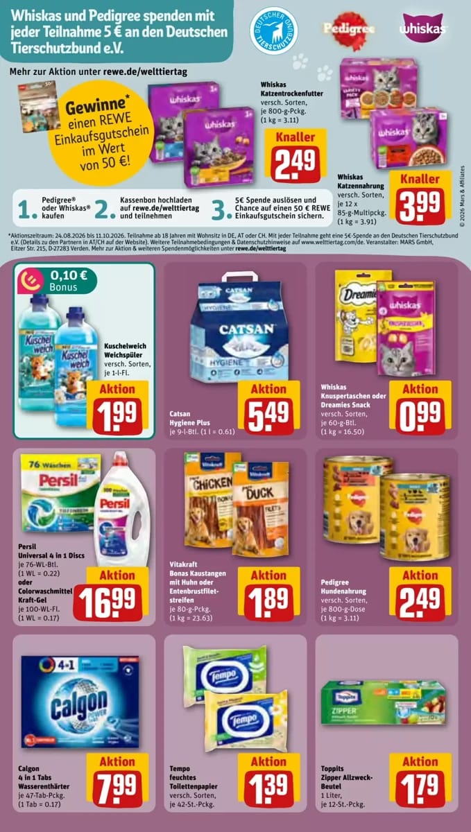 Prospekt Rewe, Seite 31 von 37
