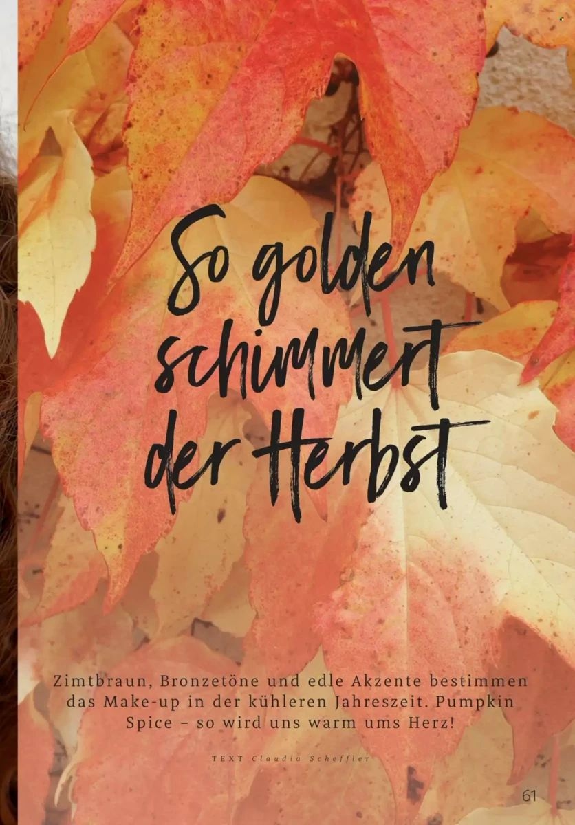 Prospekt Rossmann, Seite 61 von 108