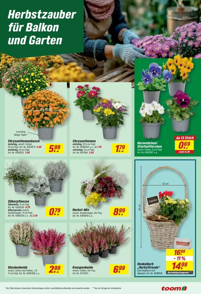 Prospekt Toom Baumarkt, Seite 17 von 32