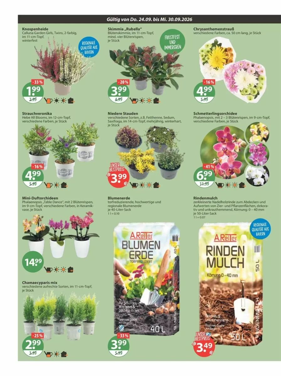 Prospekt V-Markt, Seite 20 von 30