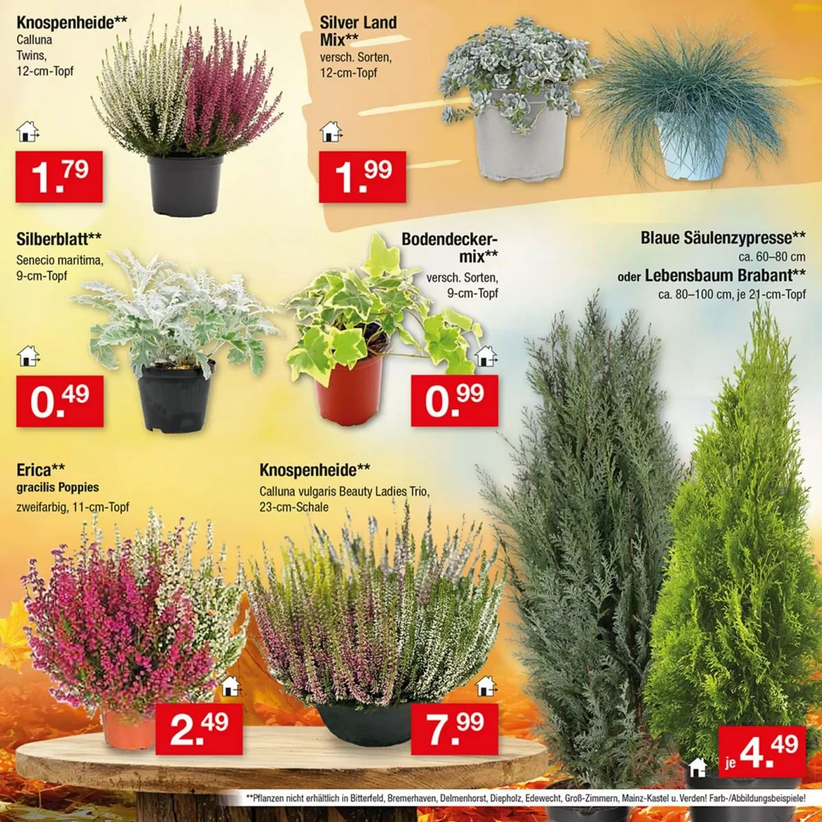 Prospekt Zimmermann, Seite 15 von 40