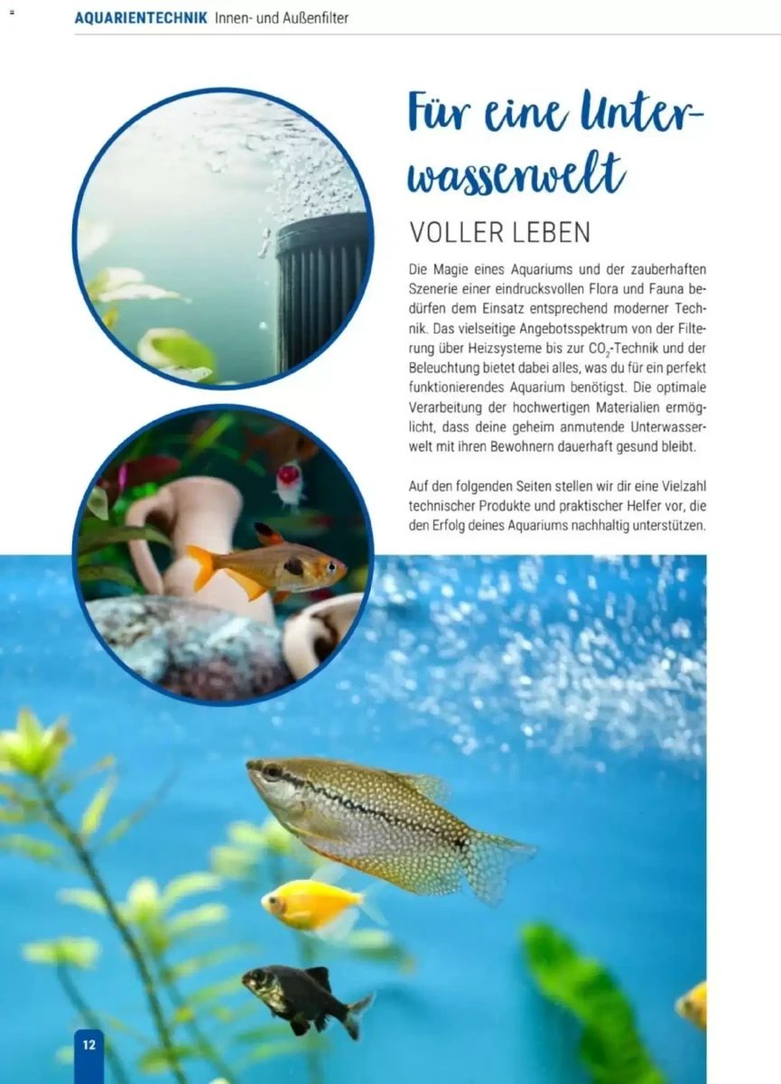 Prospekt Zookauf, Seite 12 von 56